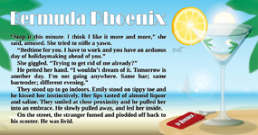 Bermuda Phoenix Press Kit